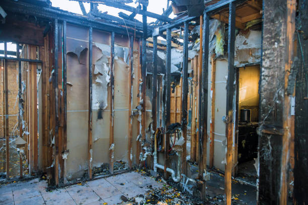 Professional Soot Cleanup technician working in Terra Ceia, FL