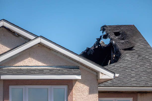 Top rated local Soot Cleanup specialists in Terra Ceia, FL